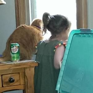 Meet your Posher, Carol